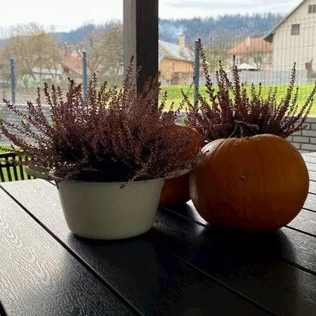 Vikendovy Domcek Libeth Semesterbostad Lubietova